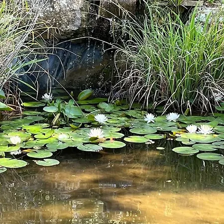 Maison En Pleine Nature -Domaine Des Mille Pierres Laudun Esterno foto
