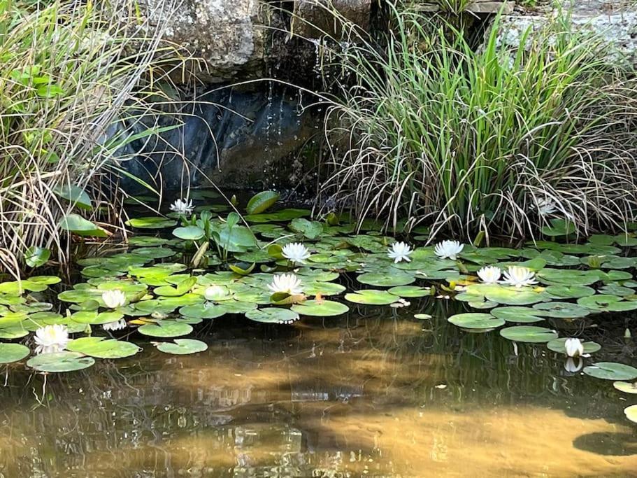 Maison En Pleine Nature -domaine Des Mille Pierres Laudun-l'Ardoise
